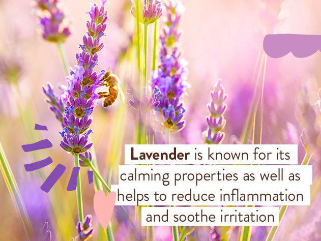 Calming Lavender Bubble Bath & Wash Duo - Image 8