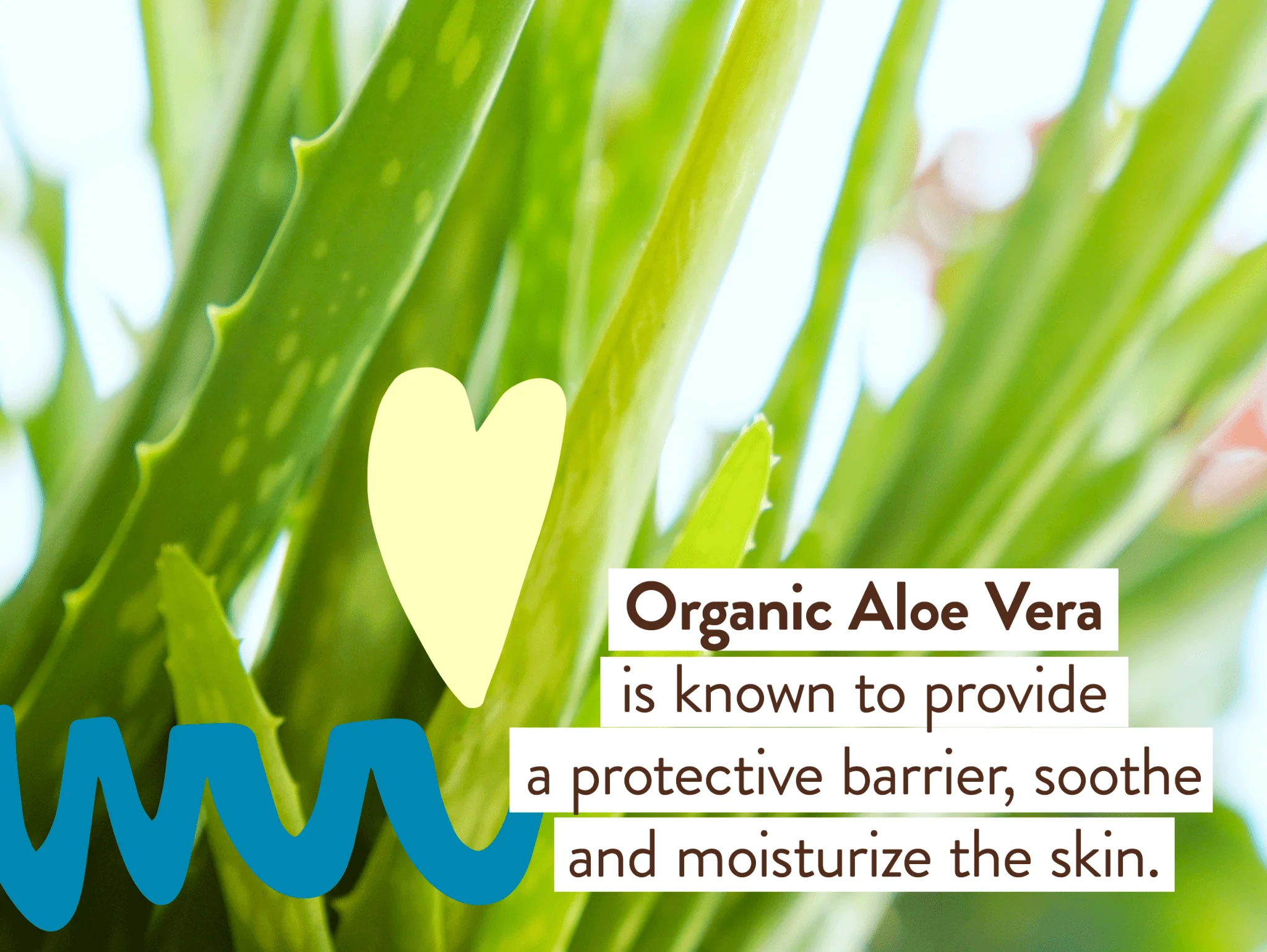 Daily Sheer Mineral Sunscreen Lotion SPF40 - Image 9