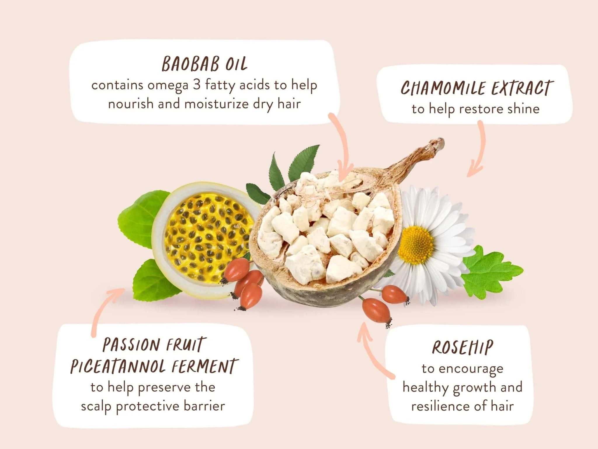 Defining Shampoo for Curly, Frizzy hair - Image 6