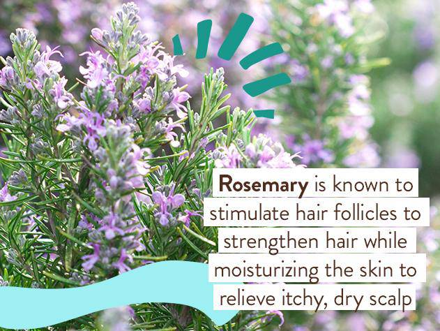 Eucalyptus Remedy Plant-Based Bubble Bath & Wash Duo - Image 8