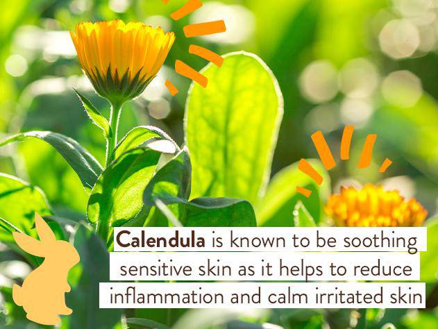 Moisturizing Oat & Calendula Miracle Face Cream - Image 8