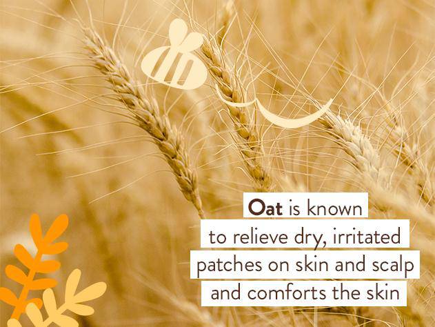 Moisturizing Oat & Calendula Body Lotion - Image 7