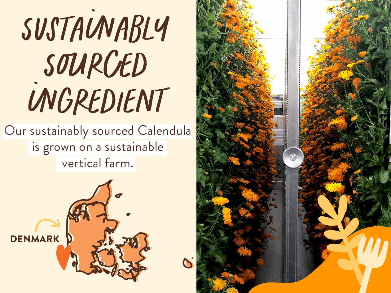 Moisturizing Oat & Calendula Bubble Bath & Wash Duo - Image 7
