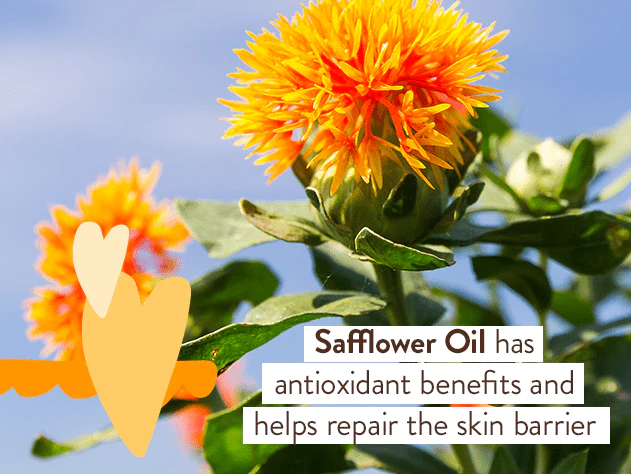 Moisturizing Oat & Calendula Shampoo & Wash Duo - Image 6
