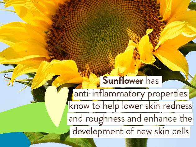 Sheer Zinc Mineral Sunscreen Spray SPF30 Duo - Image 6