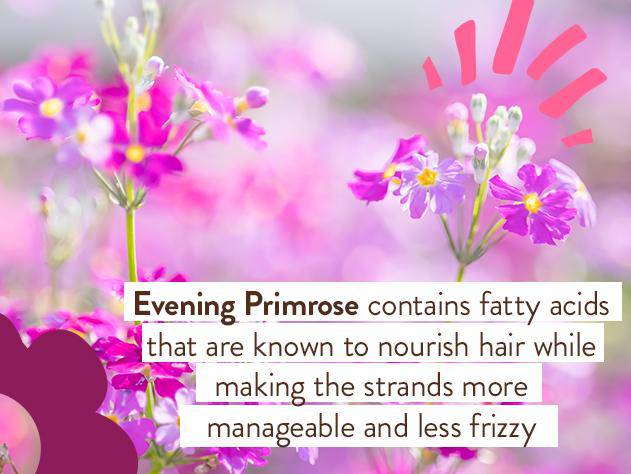 Smoothing Berry & Primrose Conditioner - Image 6