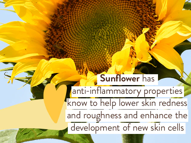 Swim & Sport Mineral Sunscreen Set - Image 11